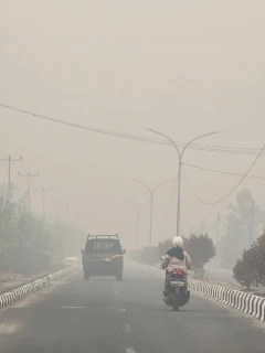 Rp5,7 Triliun Dampak Karhutla Kalbar, Pemerintah Digugat ke Pengadilan